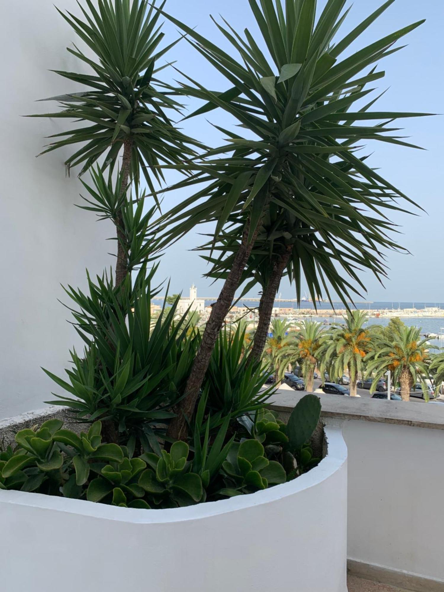 Terrazza Diomede- Manfredi Homes & Villas Manfredonia Luaran gambar